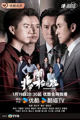 非常检控观国语海报